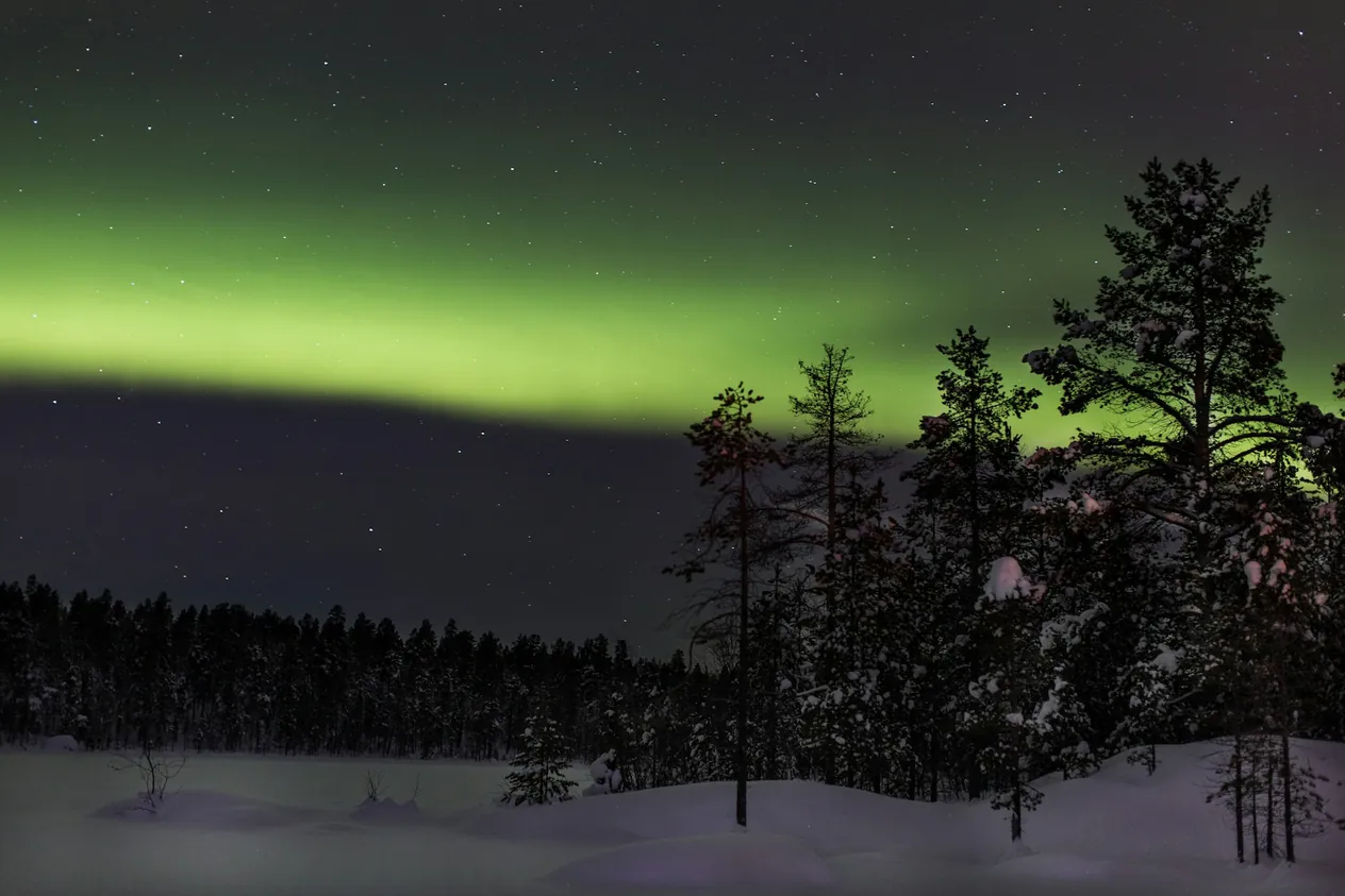 A bright green aurora hangs in the sky over a snowy forest scene in Inari