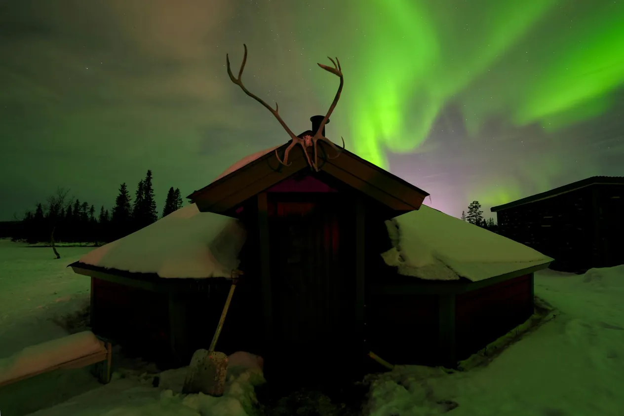 A bright green aurora in the sky over a wooden cabin with a large antler on the roof
