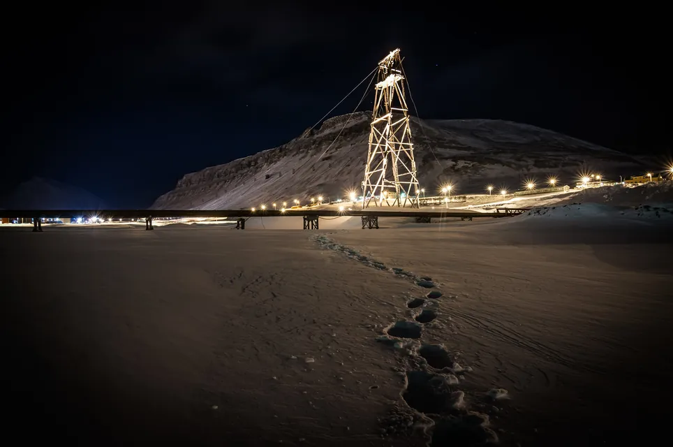 Tracks in the snow