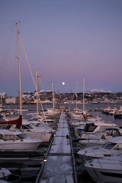 A harbour in Bodø with snowy mountains in the background