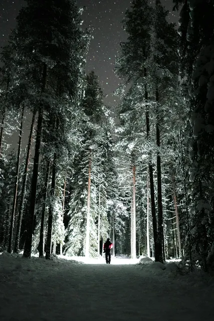 Person with Flashlight in Forest at Night