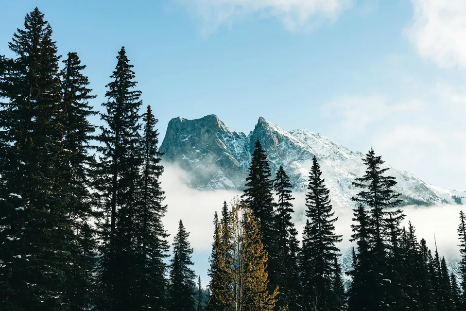 Scenic View of a Rocky Mountain near Coniferous Trees