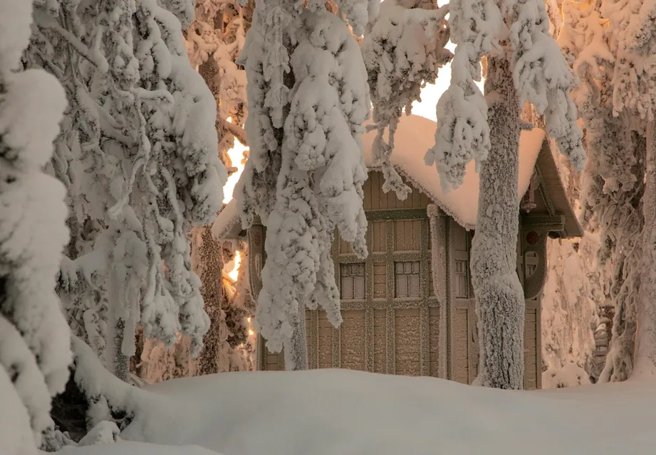 Wooden Barn Among Trees Covered with Snow