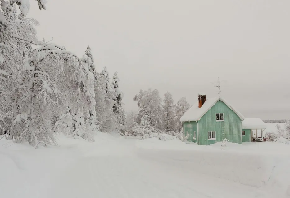 Snowy Trees by Green House in Finland