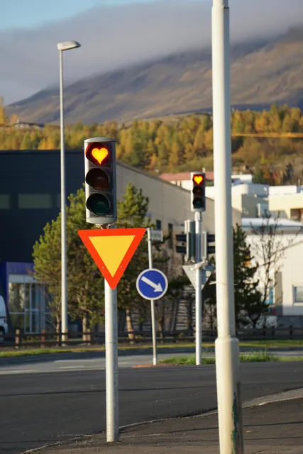 Traffic Lights on the Street