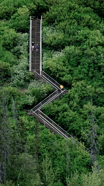 Outdoor staircase amidst a lush forest, Edmonton, Alberta