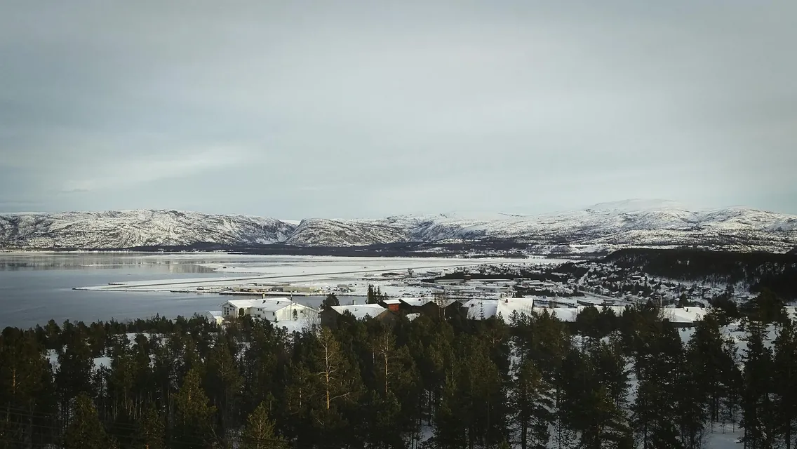 Town and Forest and Mountains