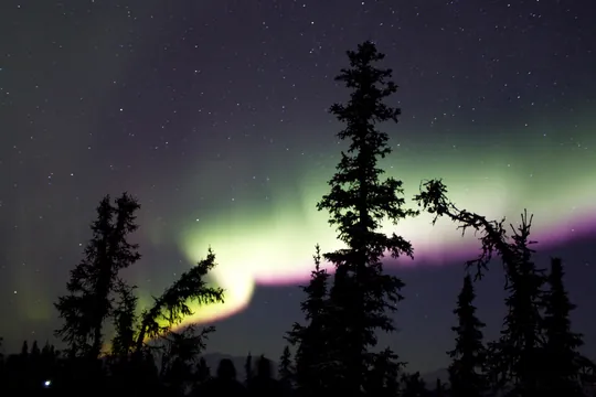 Aurora Borealis, Chena Hot Springs near Fairbanks, Alaska