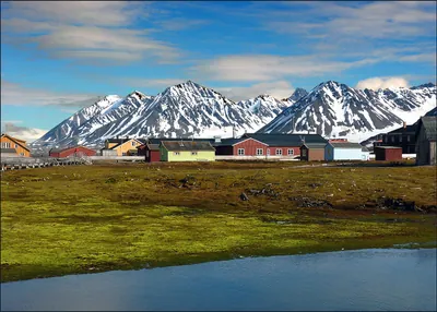 Tundra, Ny-Ålesund, Svalbard