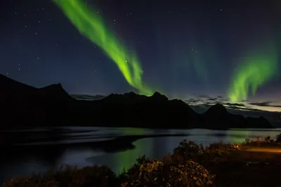 Northern lights over Husøy