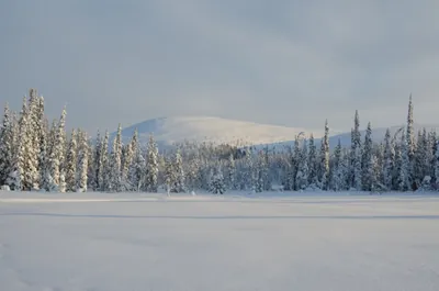 Beautiful view in Pallas-Yllästunturi National Park