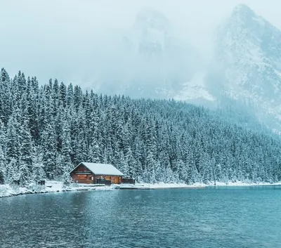 A cabin in the woods on the shore of Lake Louise, Canada