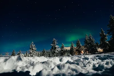 Aurora in the sky over snowy trees, Sodankylä, Finland